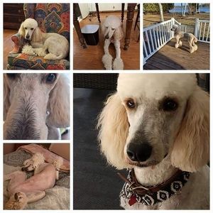 Meet your Posher, Keith